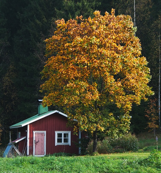 Kleine-Sauna-im-Herbst.jpg